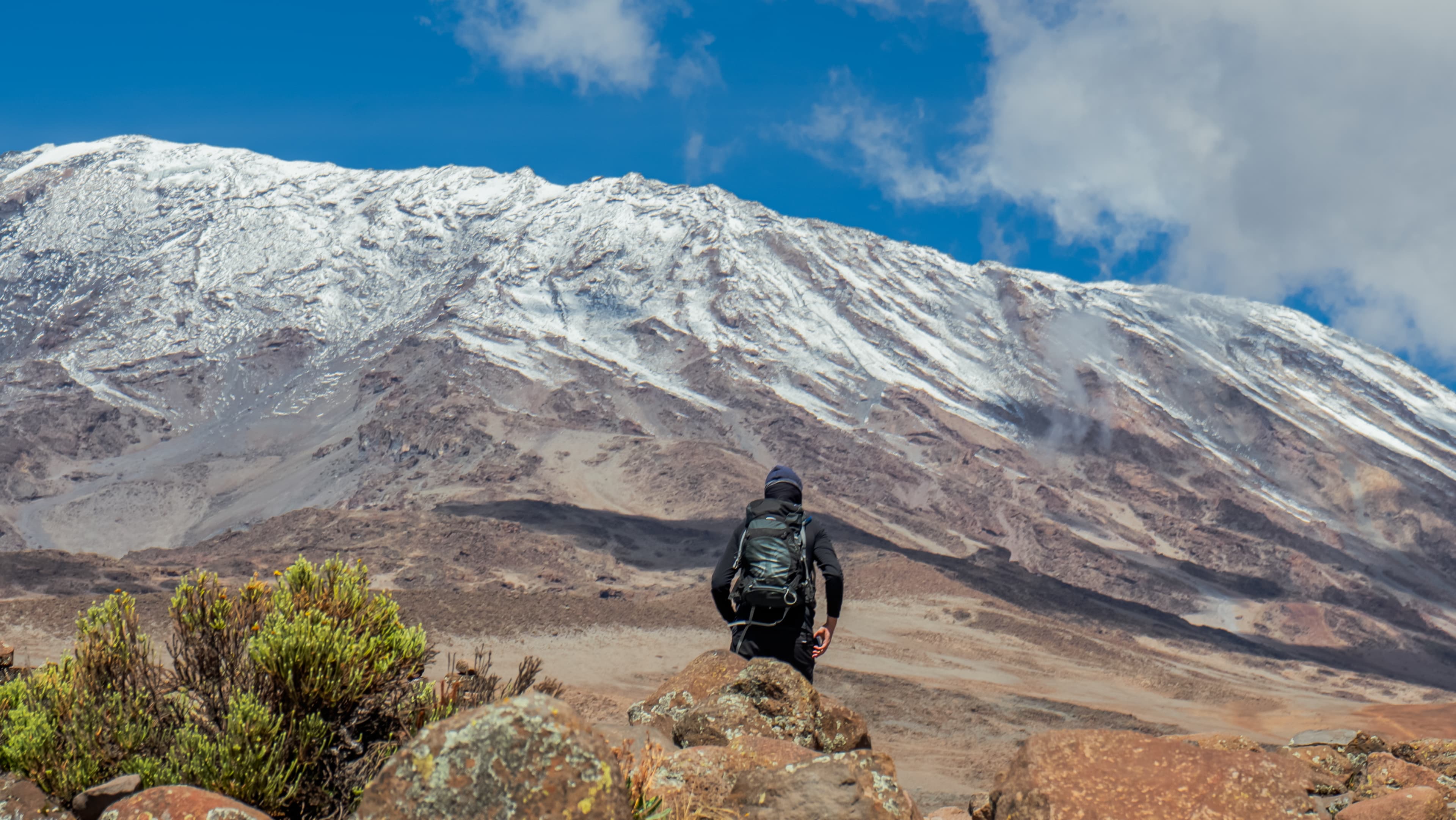 Kilimanjaro landscape